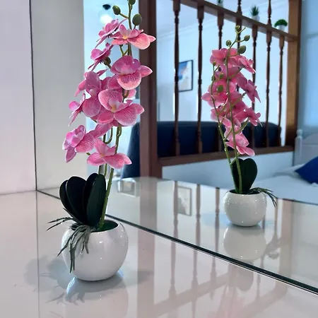 Lejlighed Apartamento-estudio En La Playa *